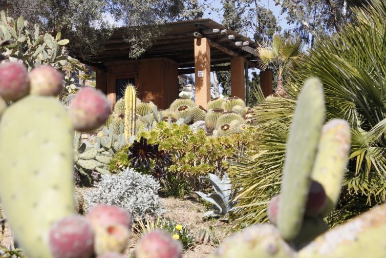 PINYA DE ROSA (10)-min