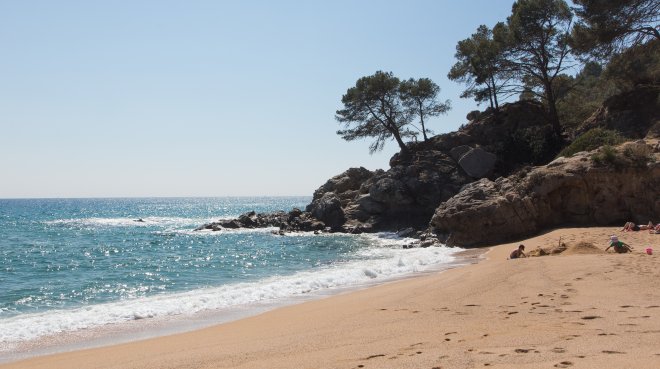 PLATJA DE TREUMAL (5)