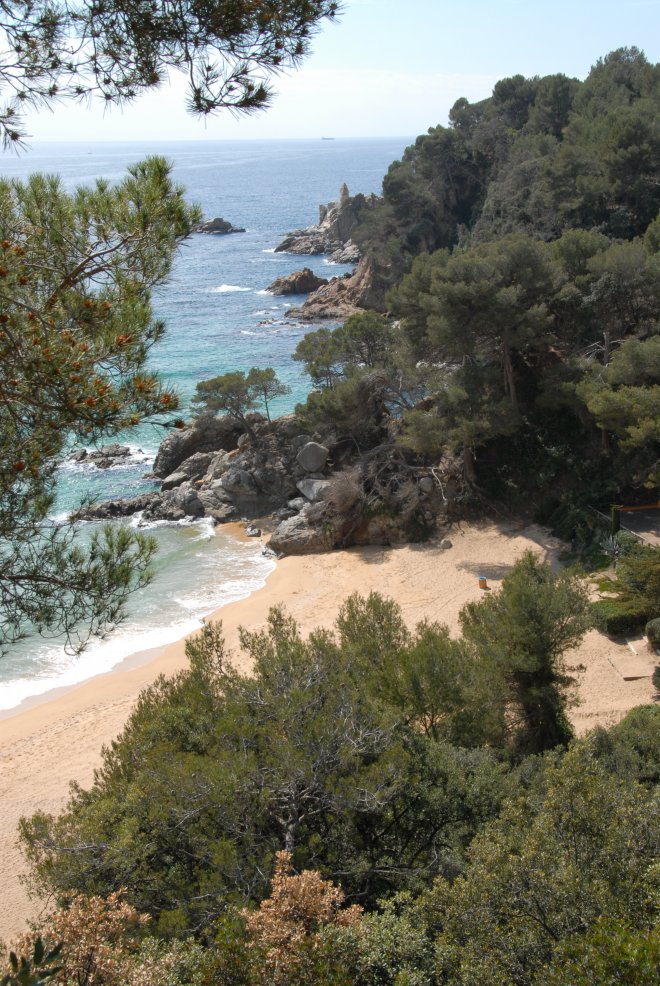 PLATJA DE TREUMAL (7)