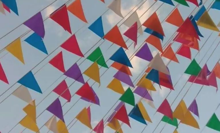 FESTES DE BARRI DELS PINS