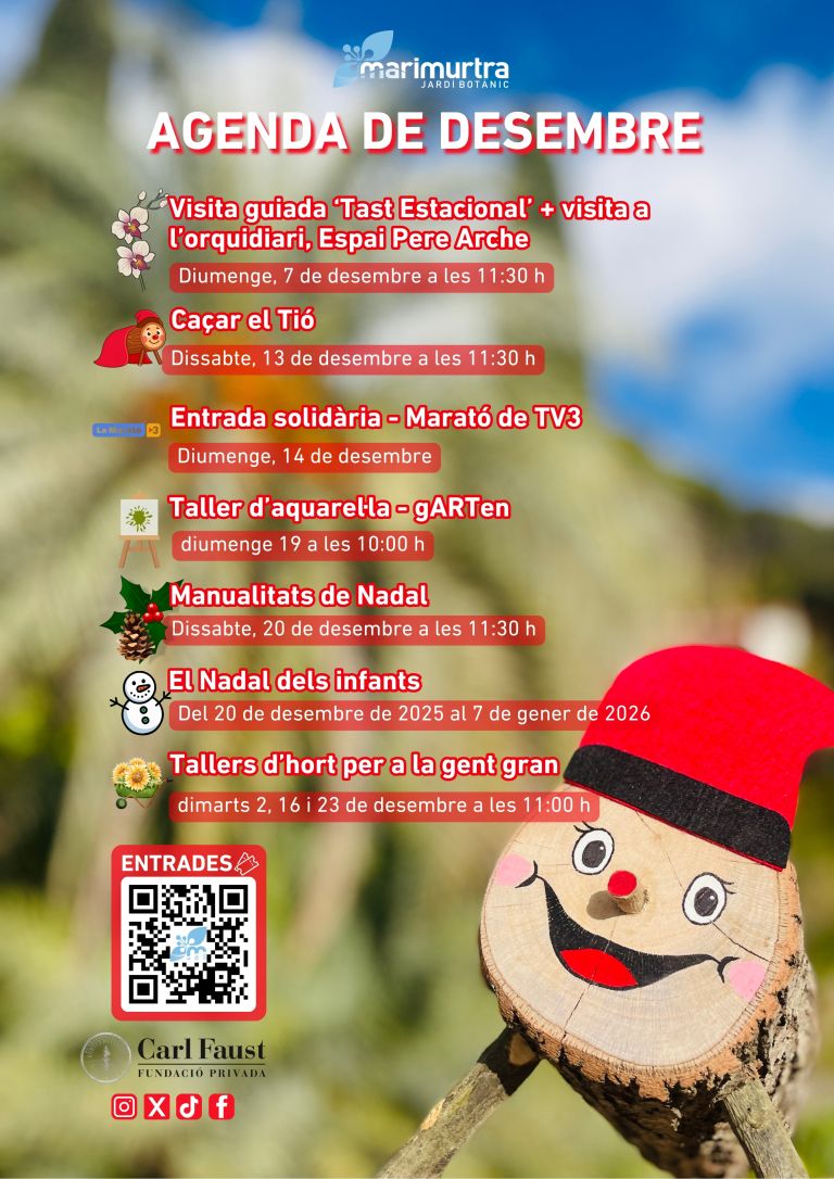 Entrada solidària – Marató TV3